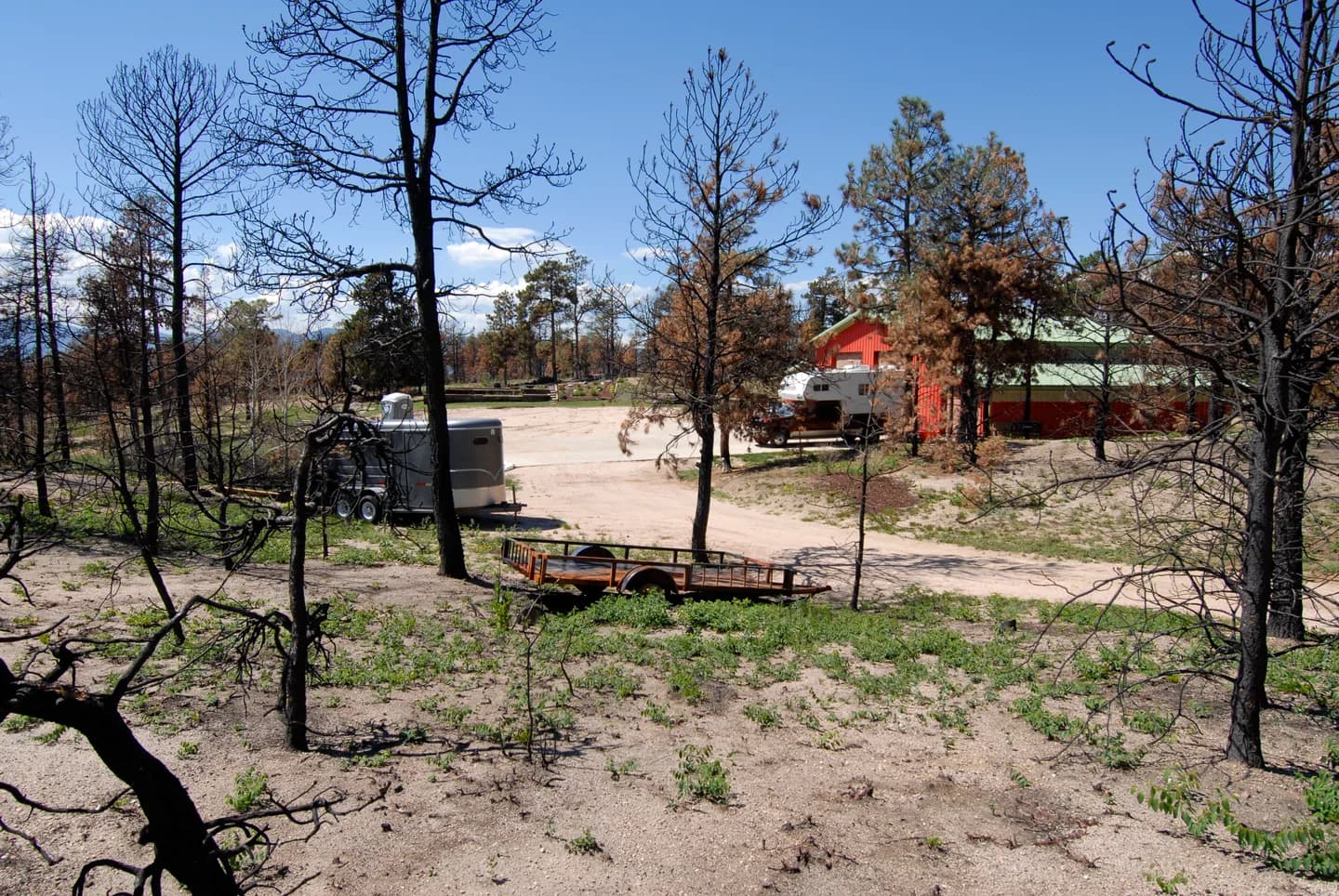 Property left with blackened trees and scorched ground after the Black Forest Fire, outbuilding intact.
